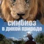 Симбиоз в дикой природе