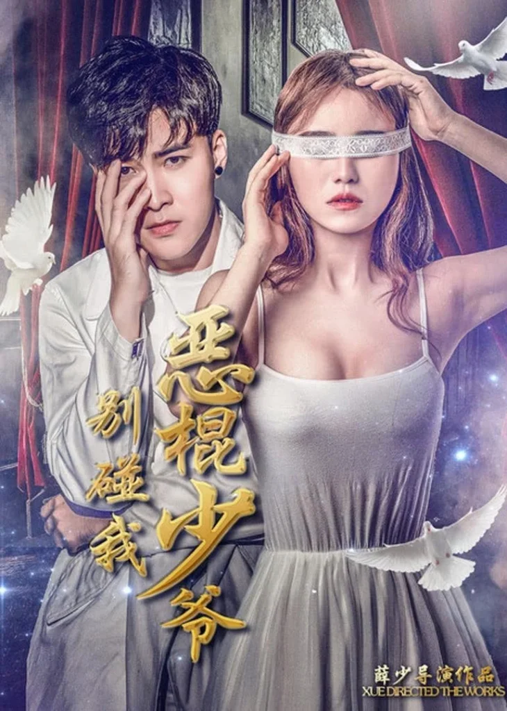 Китайский фильм «Президент и служанка» — постер