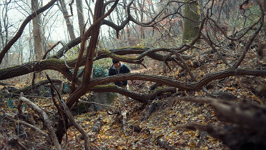 Корейский фильм «Ореол», победитель Токио, выйдет 11 ноября