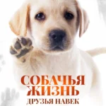 Собачья жизнь: Друзья навек